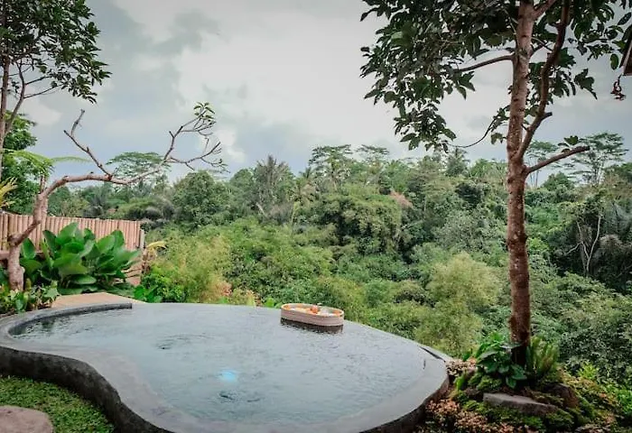 Villa Dedari